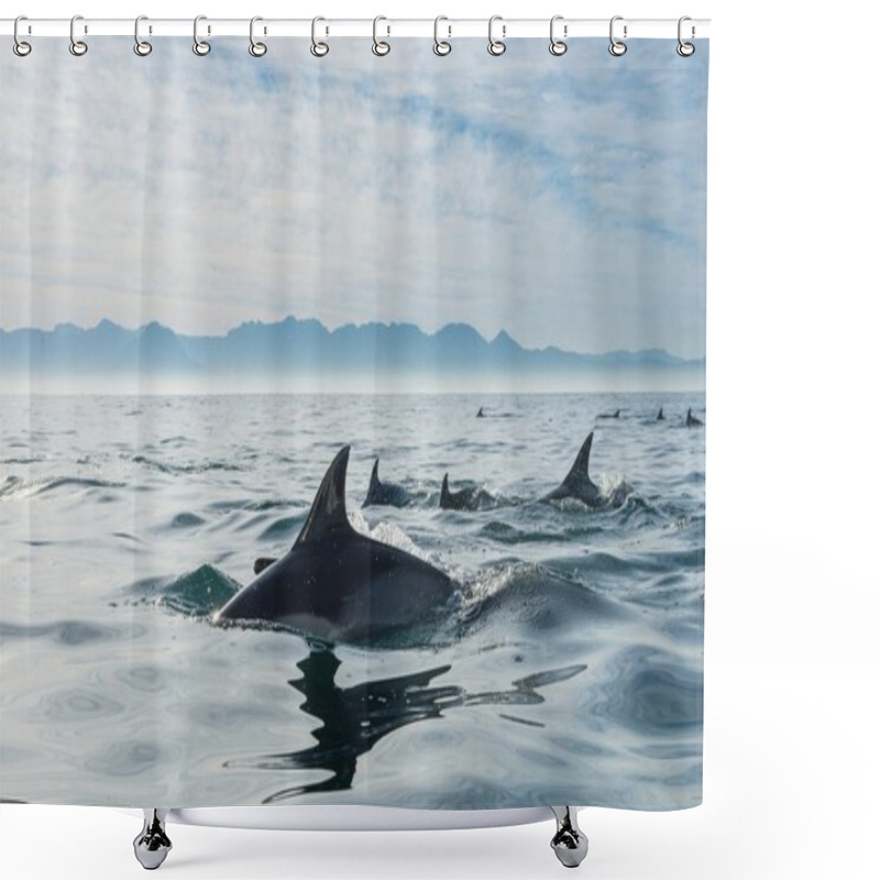 Personality  Group Of Dolphins Swimming In Ocean Shower Curtains