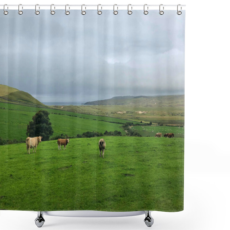 Personality  On The Pasture In Dunfanaghy, Ireland. Wild Atlantic Way Shower Curtains