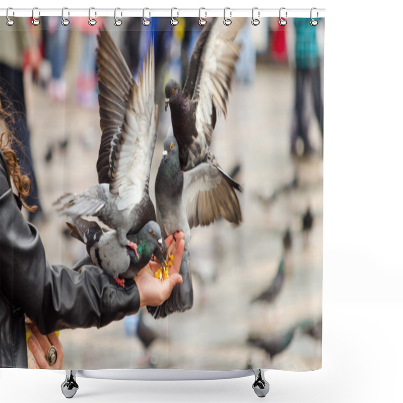 Personality  Pigeons Eating From Hand Shower Curtains