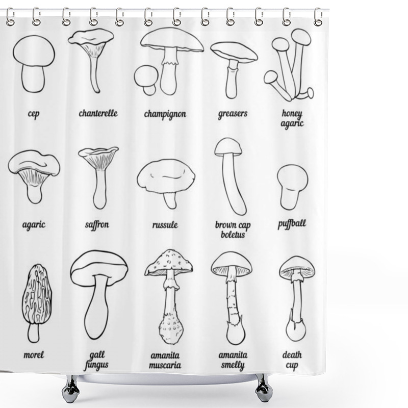 Personality  Vector Set Of Outline Illustration - Mushrooms Shower Curtains