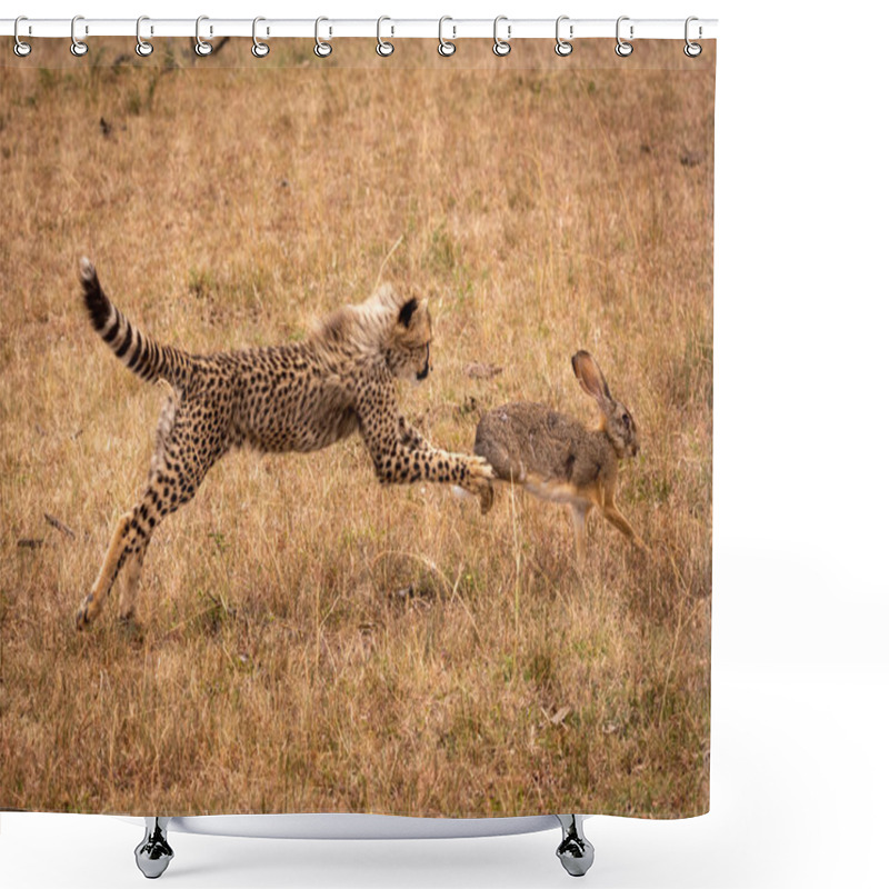 Personality  Cheetah Cub Jumps To Catch Scrub Hare Shower Curtains