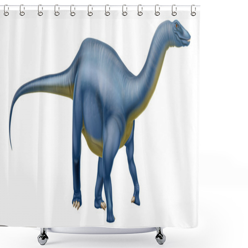 Personality  Diplodocus Dinosaur From The Sauropod Family Like Brachiosaurus And Other Long Neck Dinosaurs. What We Used To Call Brontosaurus Shower Curtains