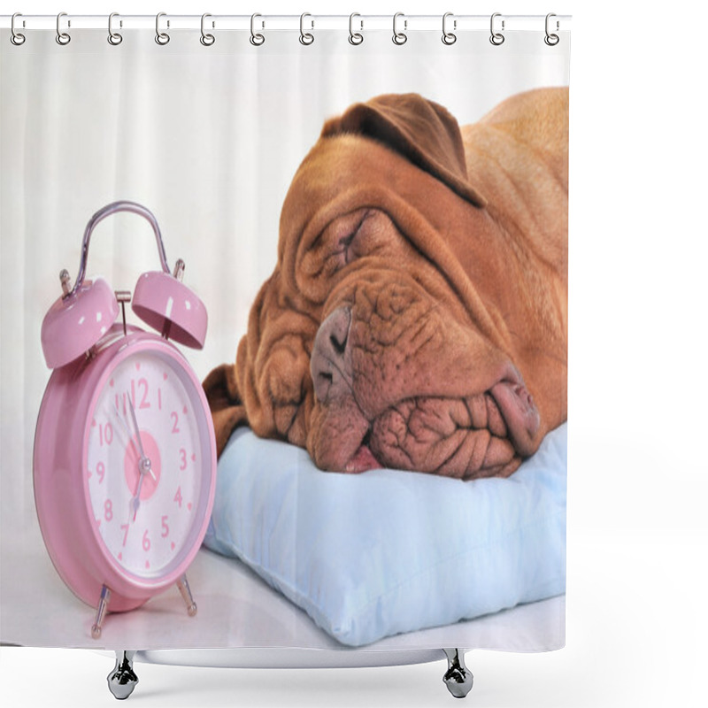 Personality  Morning Time Shower Curtains