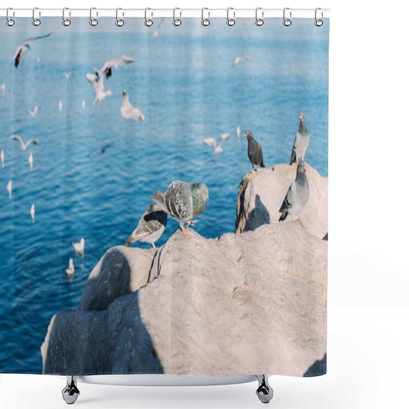 Personality  Selective Focus Of Pigeons Sitting On Coast Rocks And Seagulls Flying Over Sea, Barcelona, Spain Shower Curtains