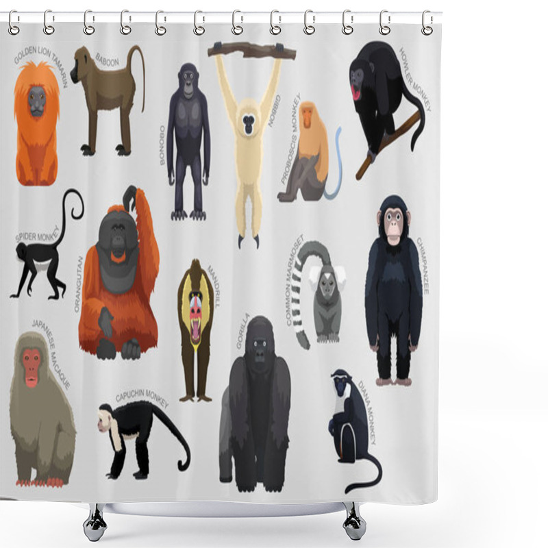 Personality  Primate Monkey Set Various Kind Identify Cartoon Vector Shower Curtains