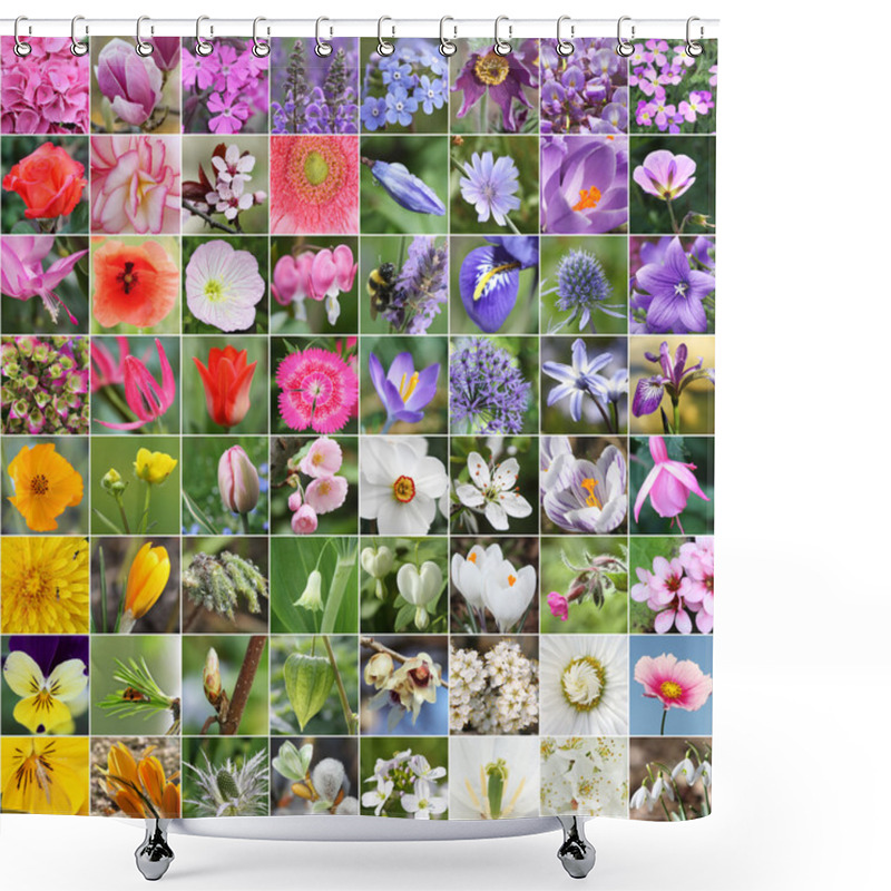 Personality  Spring Flower Collage Shower Curtains