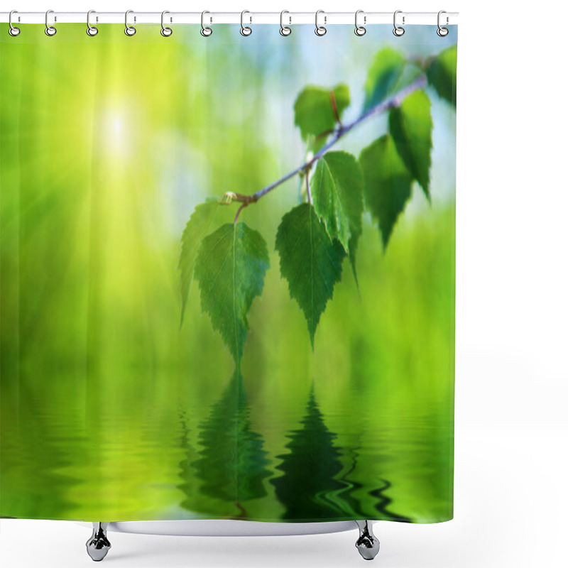 Personality  Leaves Of Birch And Water Shower Curtains