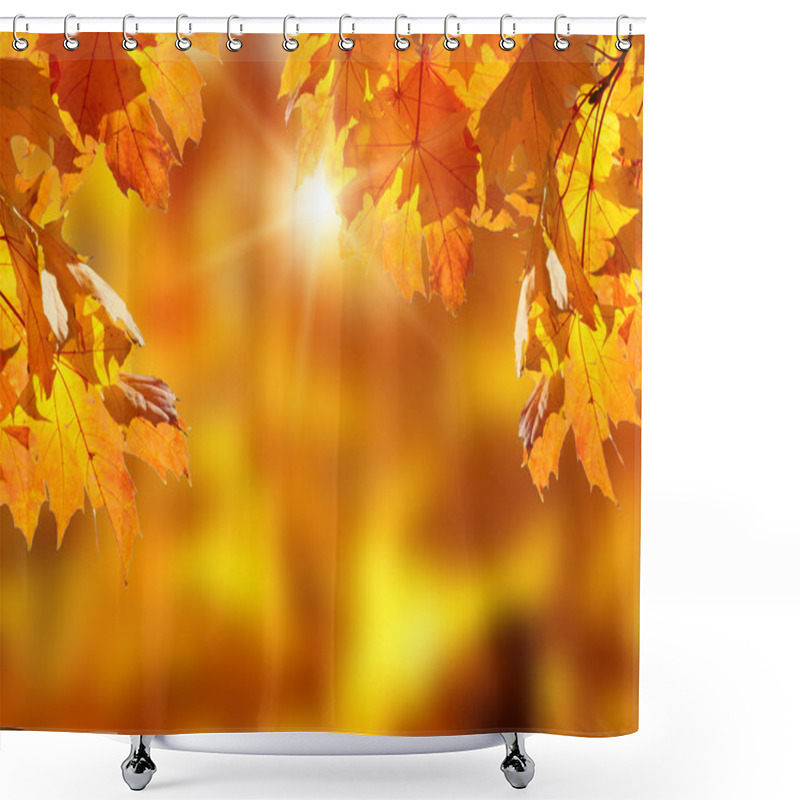 Personality  Fallen Leaves In Autumn Forest Shower Curtains