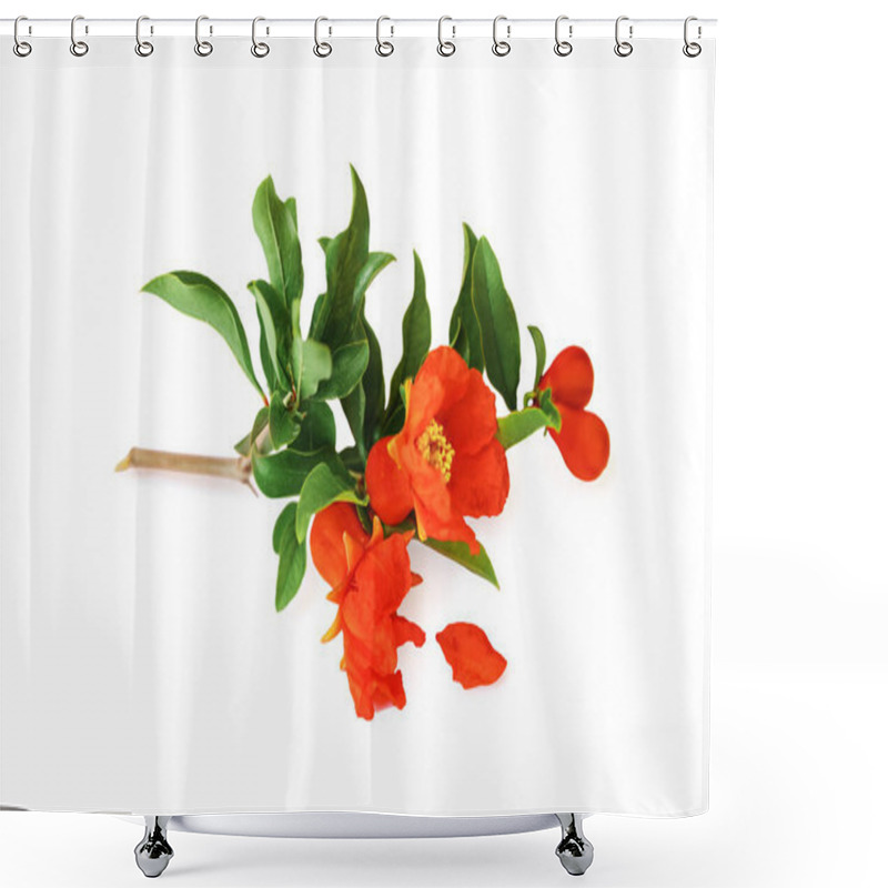 Personality  Pomegranate Branch With Small Growing Fruits, Flowers, Fallen Petal And Leaves Isolated On White Background Shower Curtains