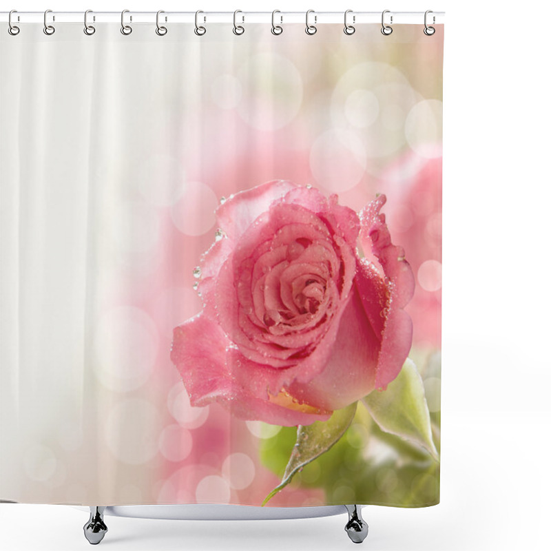 Personality  Beautiful Pink Rose With Water Drops Shower Curtains