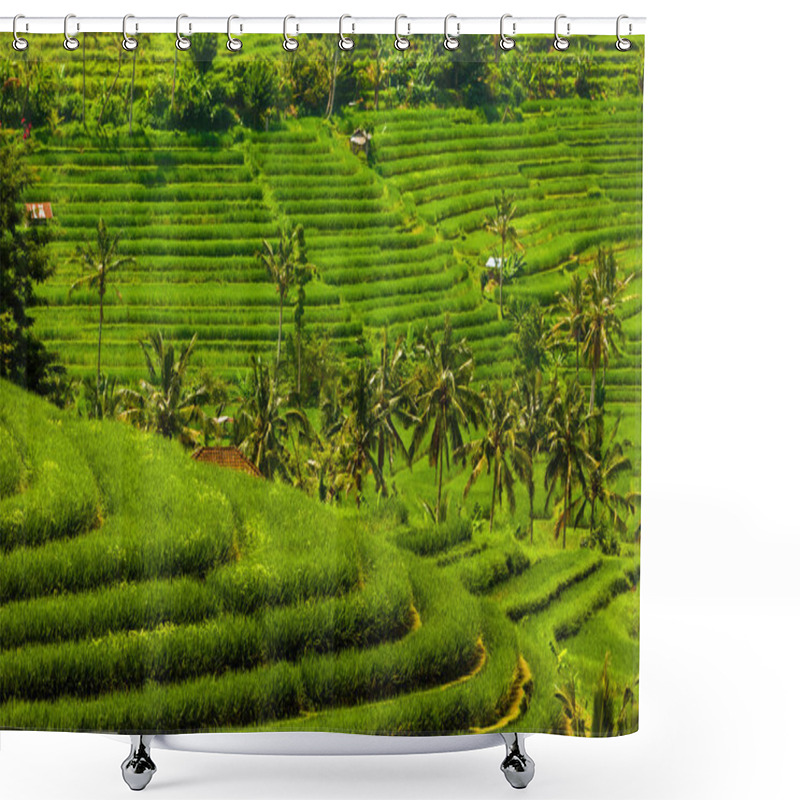 Personality  Rice Fields - Bali Island Indonesia Shower Curtains