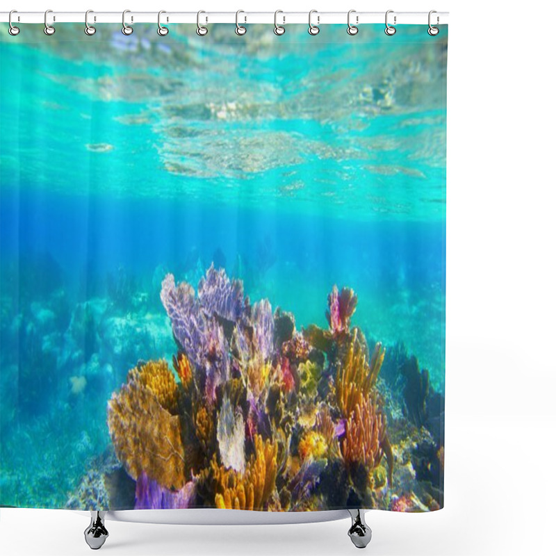 Personality  Mayan Riviera Reef Snorkel Underwater Coral Paradise Shower Curtains