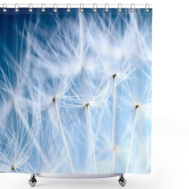 Personality  The Dandelion Background. Macro Photo Of Dandelion Seeds Over Light Blue Sk Shower Curtains