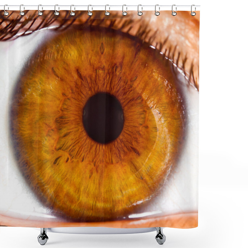 Personality  Human Eye Close Up ... Shower Curtains