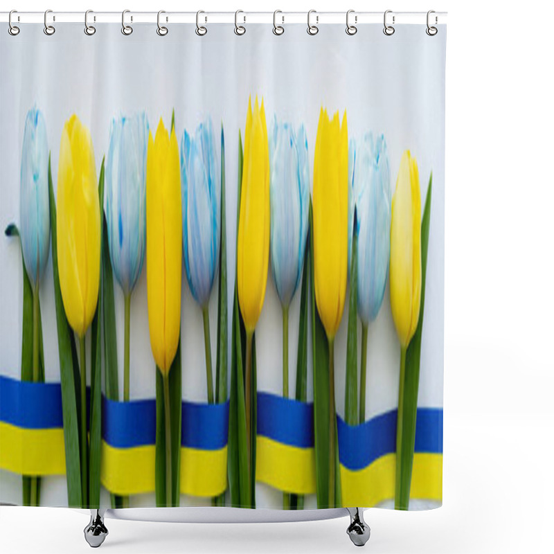 Personality  Top View Of Row Of Blue And Yellow Tulips And Ribbon On White Background, Banner  Shower Curtains