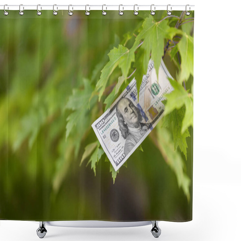 Personality  Money Growing On Tree, Cash Crop Shower Curtains