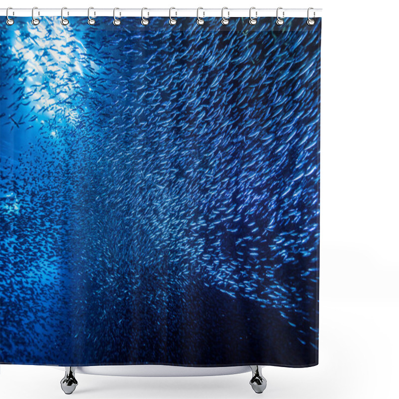 Personality  Shoal Of Small Tiny Fish In Underwater Cave Against Light Rays From Entrance Shower Curtains