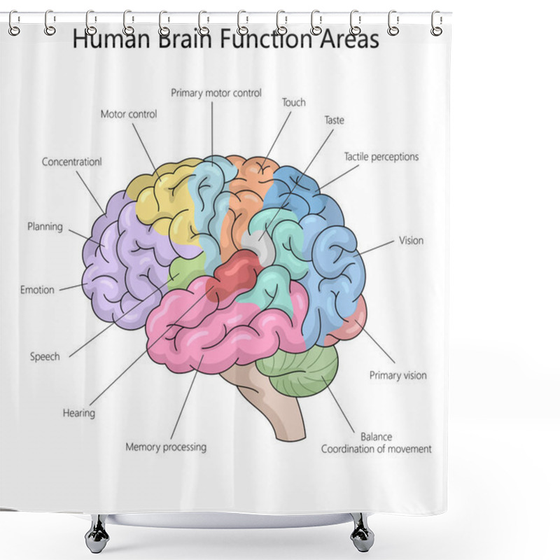 Personality  Functional Areas Of The Human Brain, Including Motor Control, Vision, Speech, Memory Processing, And Emotion Diagram Hand Drawn Schematic Vector Illustration. Medical Science Educational Illustration Shower Curtains