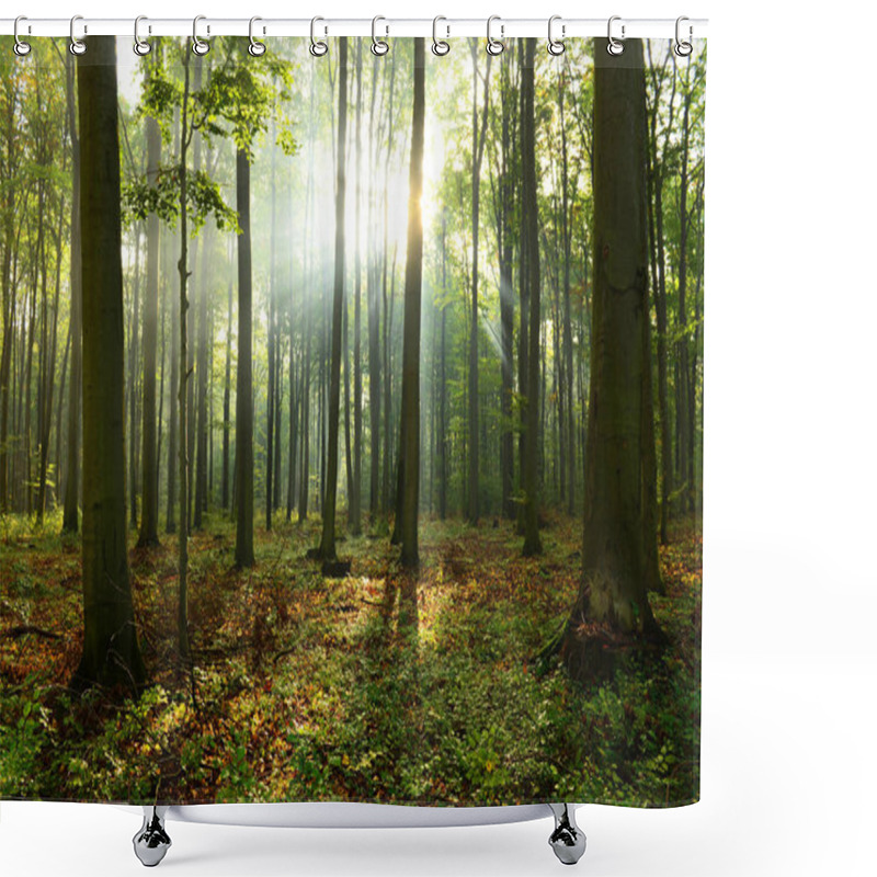 Personality  Beautiful Morning Sunbeams In Misty Forest Shower Curtains