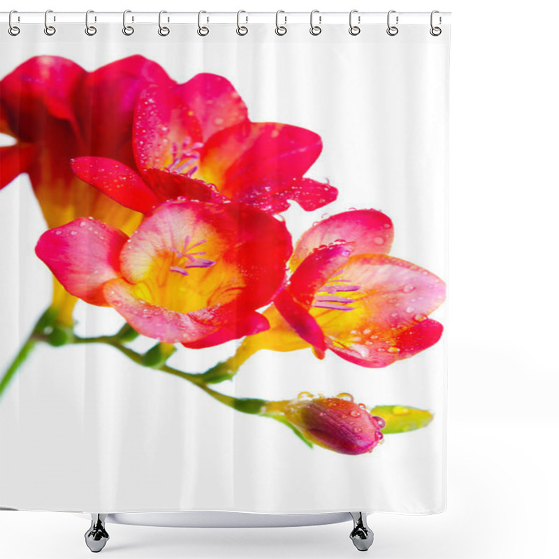 Personality  Red And Yellow Flowers Of Freesia Shower Curtains