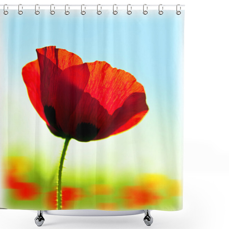 Personality  Blooming Flower Poppy Field Shower Curtains