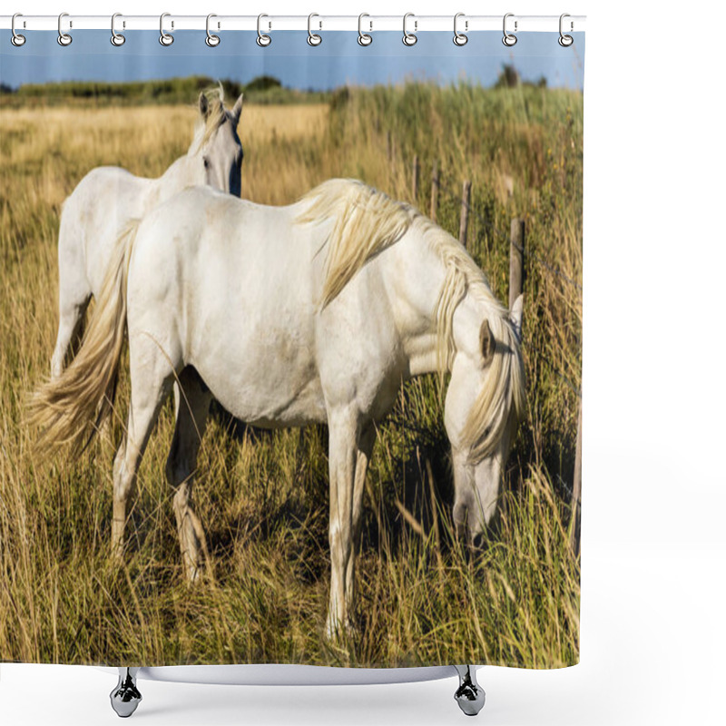 Personality  Grazing Shower Curtains