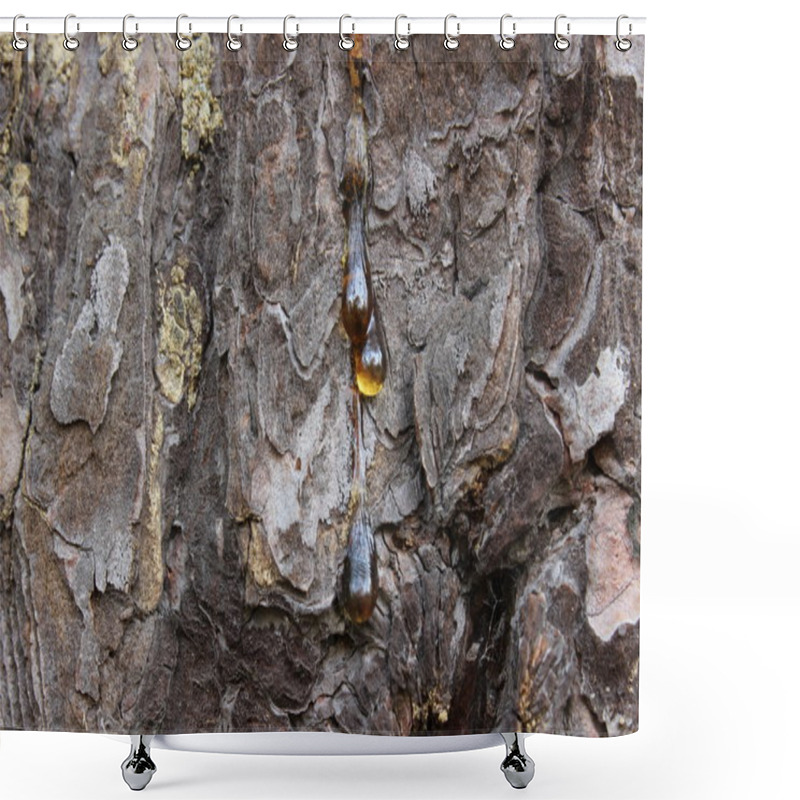 Personality  Pine Bark Shower Curtains