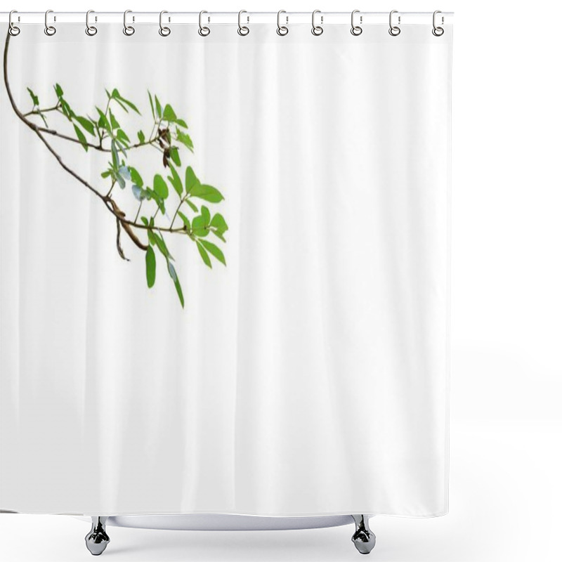 Personality  Isolated Picture Of Tree Branches Suitable For Illustration On A White Background. Shower Curtains