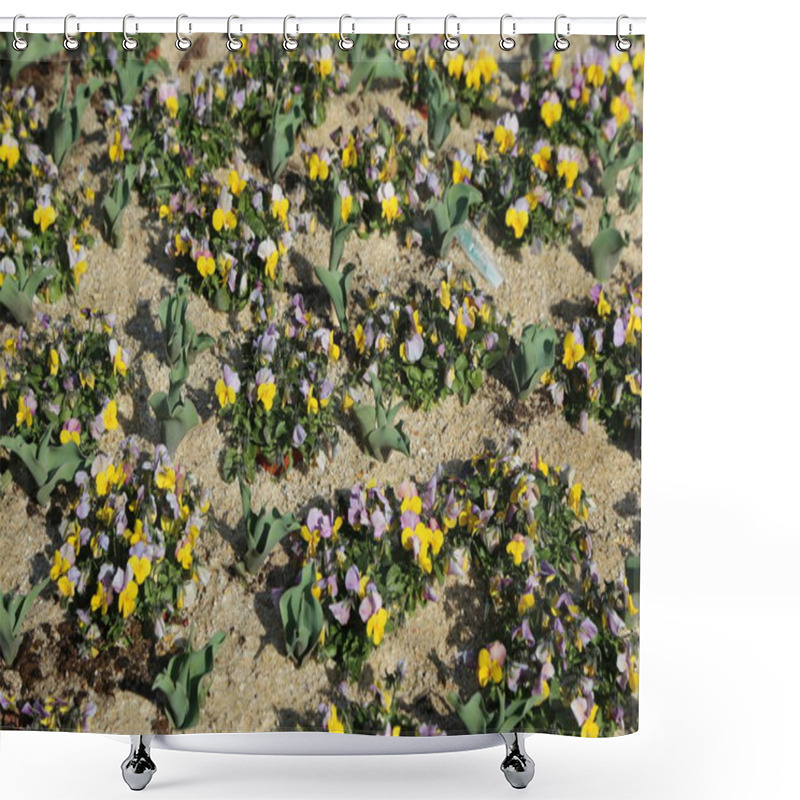 Personality  A Field Of Flowers With Yellow And Purple Petals. The Flowers Are Scattered Across The Ground And Are In Various Sizes Shower Curtains