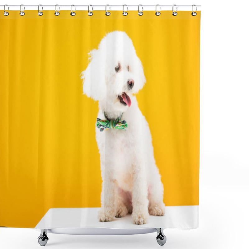 Personality  Bichon Havanese Dog In Bow Tie On White Surface Isolated On Yellow Shower Curtains