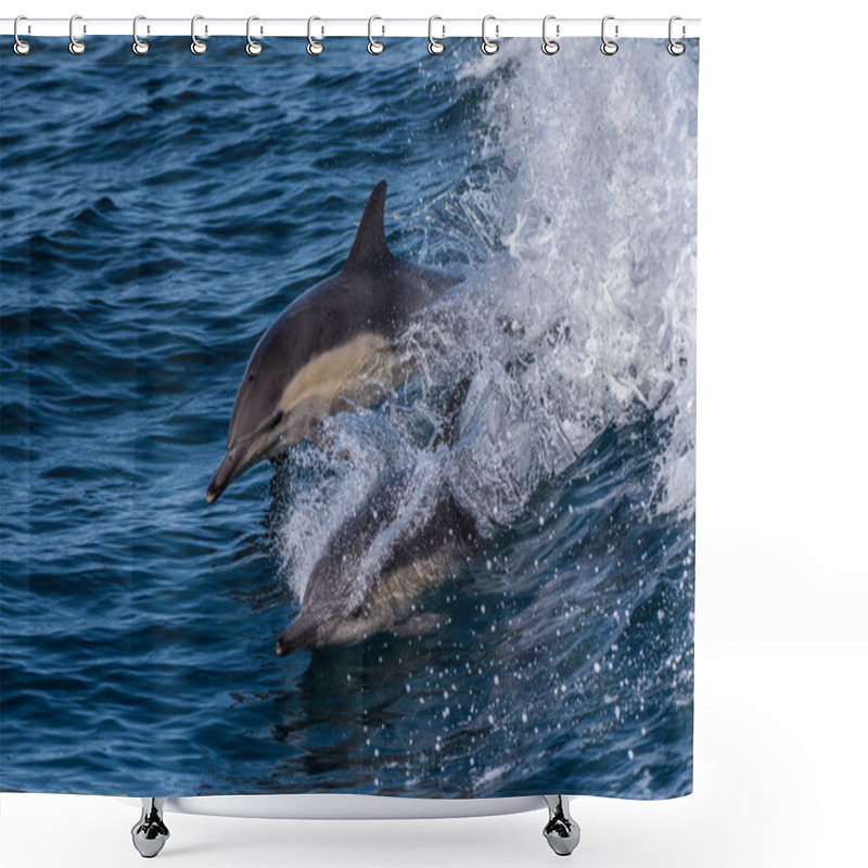 Personality  Pair Of Energetic Dolphins Playfully Swimming And Jumping At Top Speed In The Santa Barbara Channel. Shower Curtains