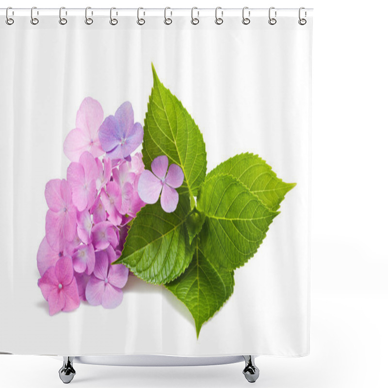 Personality  Hortensia Shower Curtains