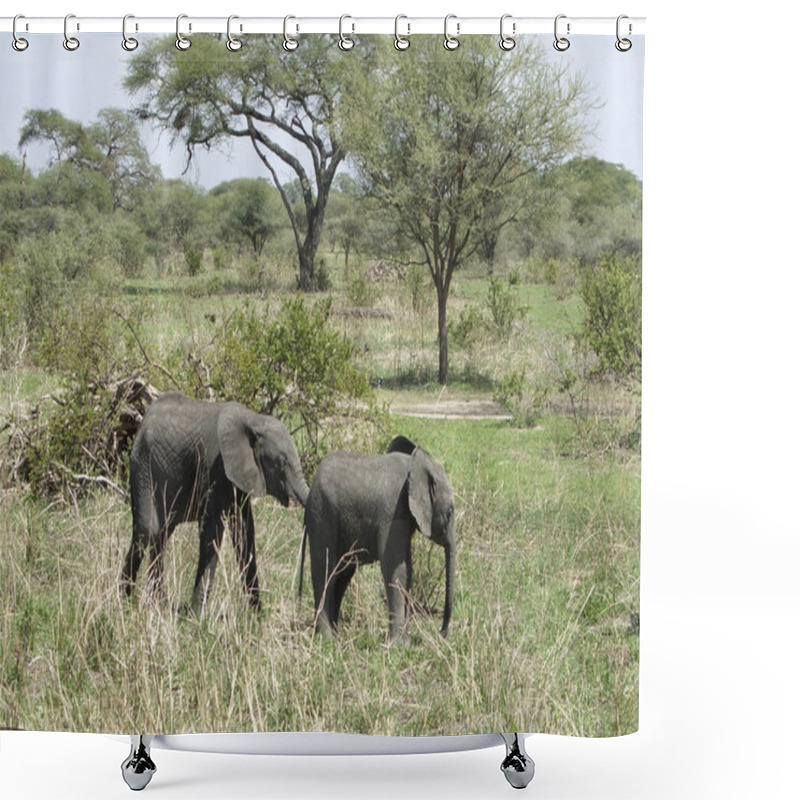 Personality  Savannah With Two Young Elephants Shower Curtains