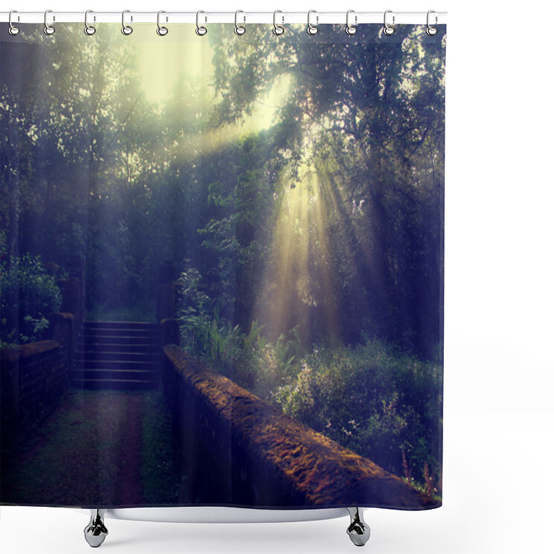 Personality  Sun Beams Thorough Trees And Greens Shower Curtains