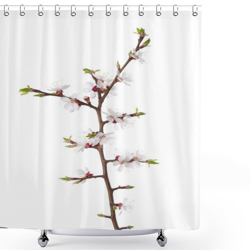 Personality  Branch In Blossom Isolated On White. Shower Curtains