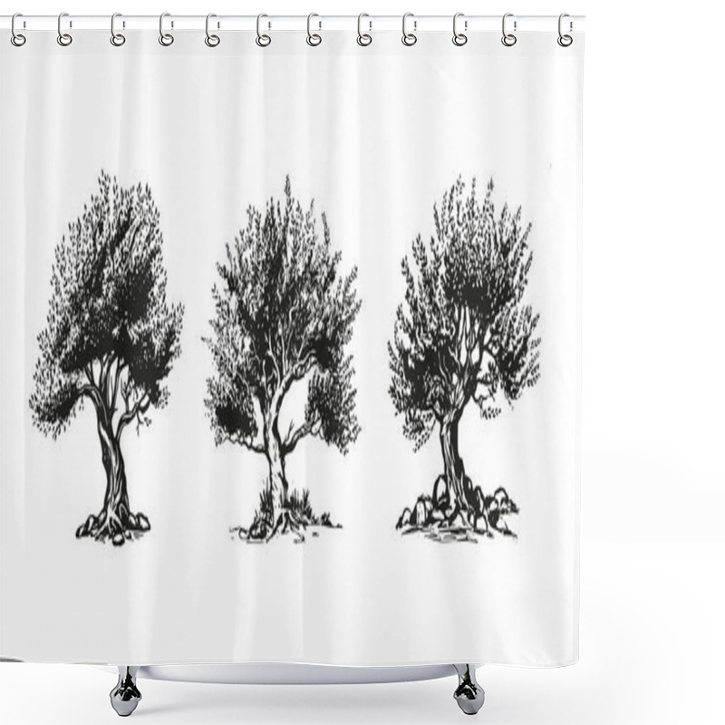 Personality  Olive Tree Hand Drawn Illustrations, Sketch. Vector. Shower Curtains