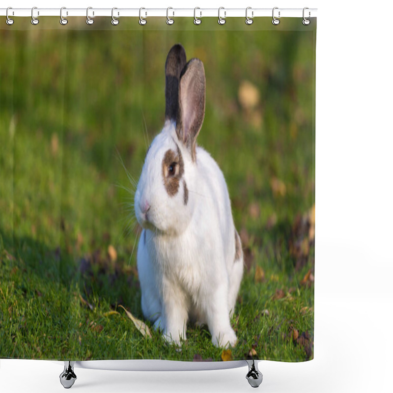 Personality  Cute Rabbit On The Grass. Shower Curtains