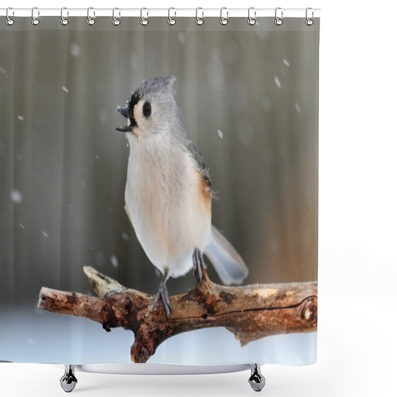 Personality  Titmouse In Snow Shower Curtains