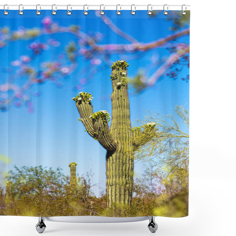 Personality  Tall Saguaro Cactus Blooming In Springtime In The Sonoran Desert In Phoenix, Arizona USA Shower Curtains