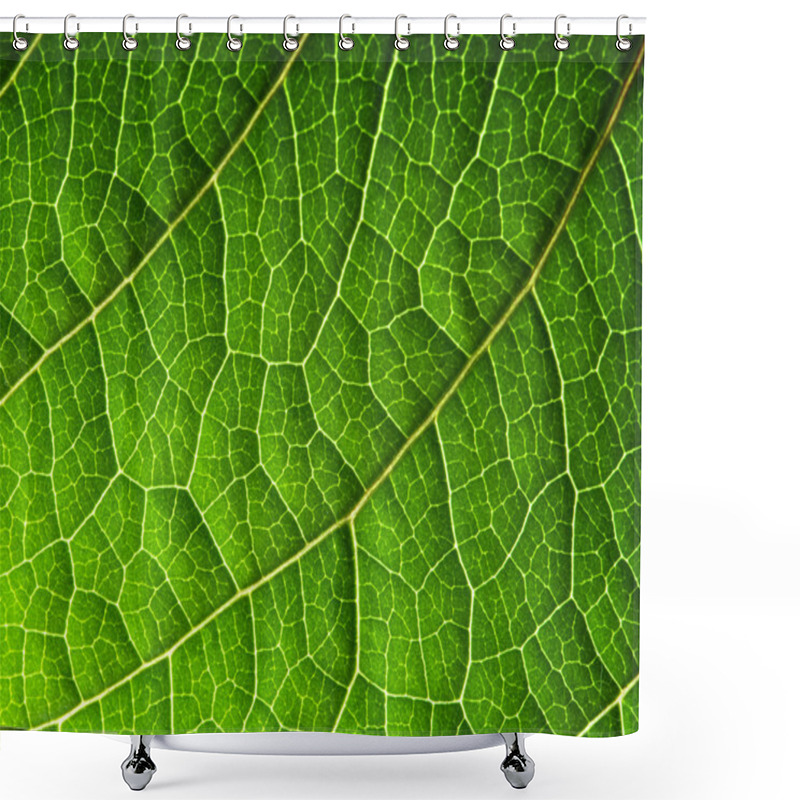 Personality  Green Leaf Shower Curtains