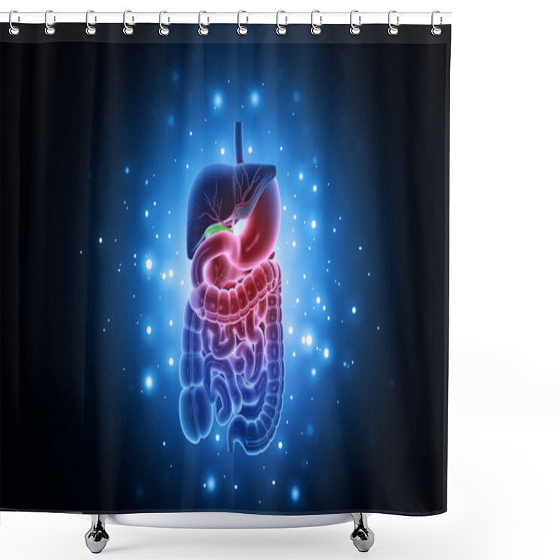 Personality  Human Digestive System Science Background. 3d Illustration	 Shower Curtains