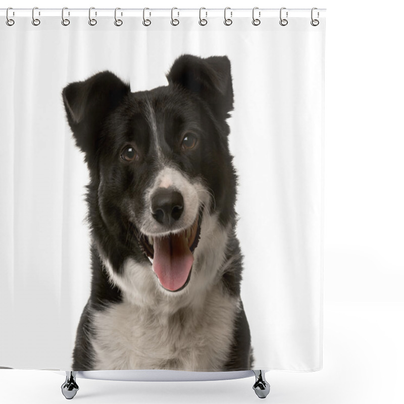 Personality  Close-up Of A Crossbreed Dog In Front Of A White Background Shower Curtains