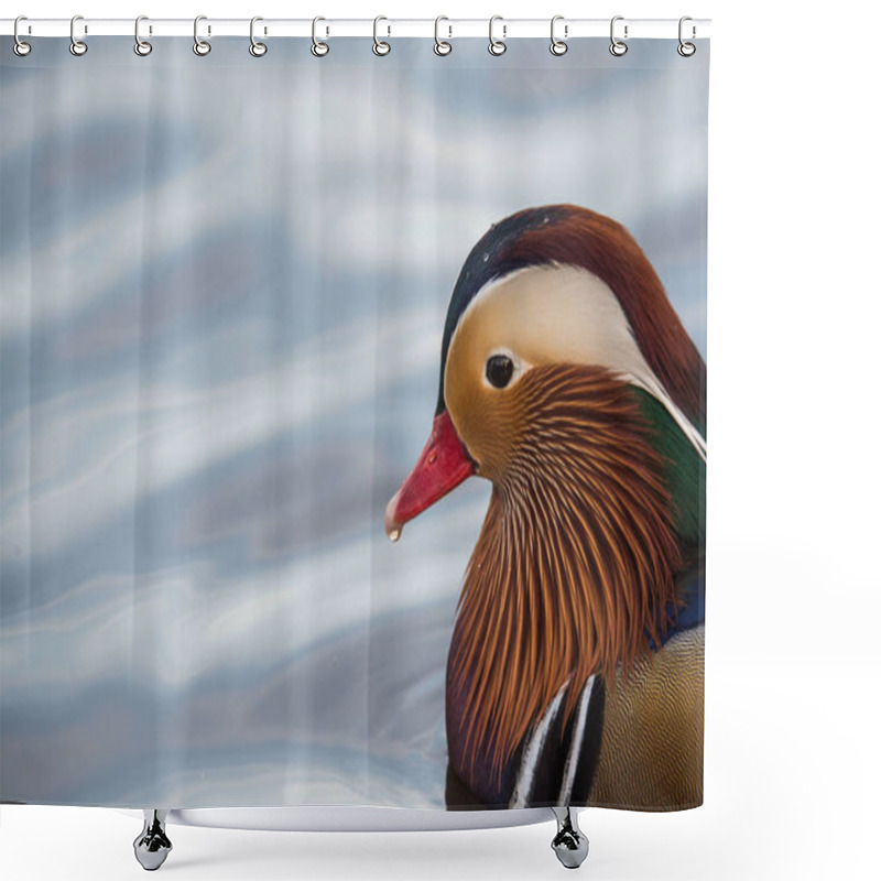 Personality  Male Mandarin Duck Shower Curtains