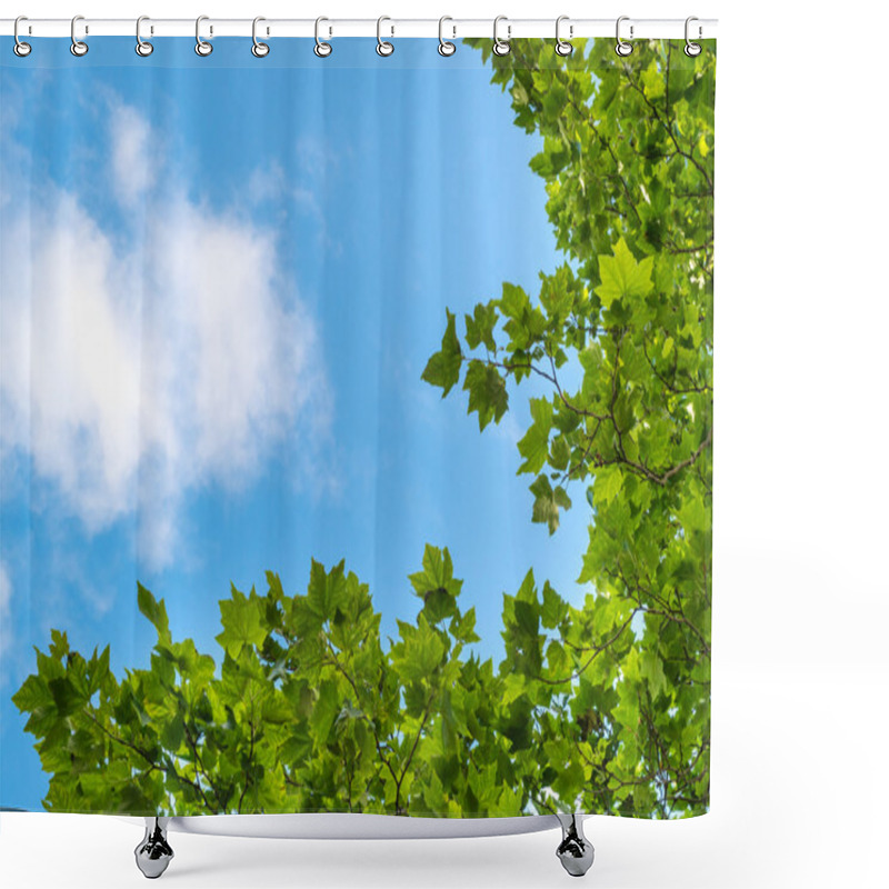 Personality  Blue Sky With Puffy Clouds And Fresh Green Tree Branches Shower Curtains