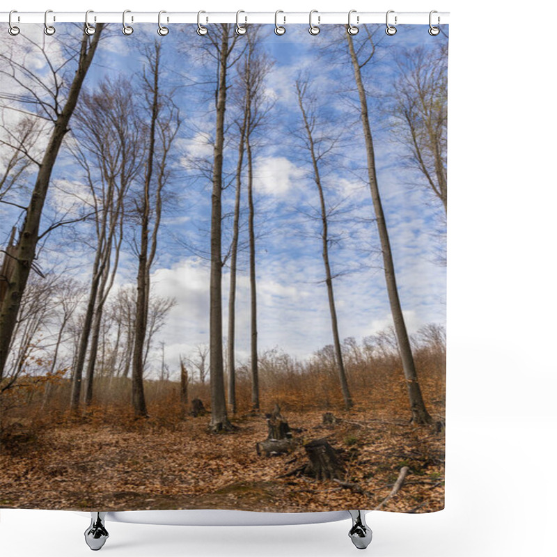 Personality  Wide Angle View Of Trees And Sky In Mountain Forest  Shower Curtains