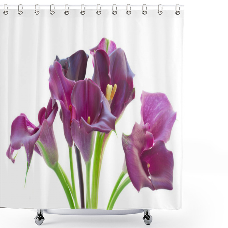 Personality  Calla Lilly Flowers Shower Curtains