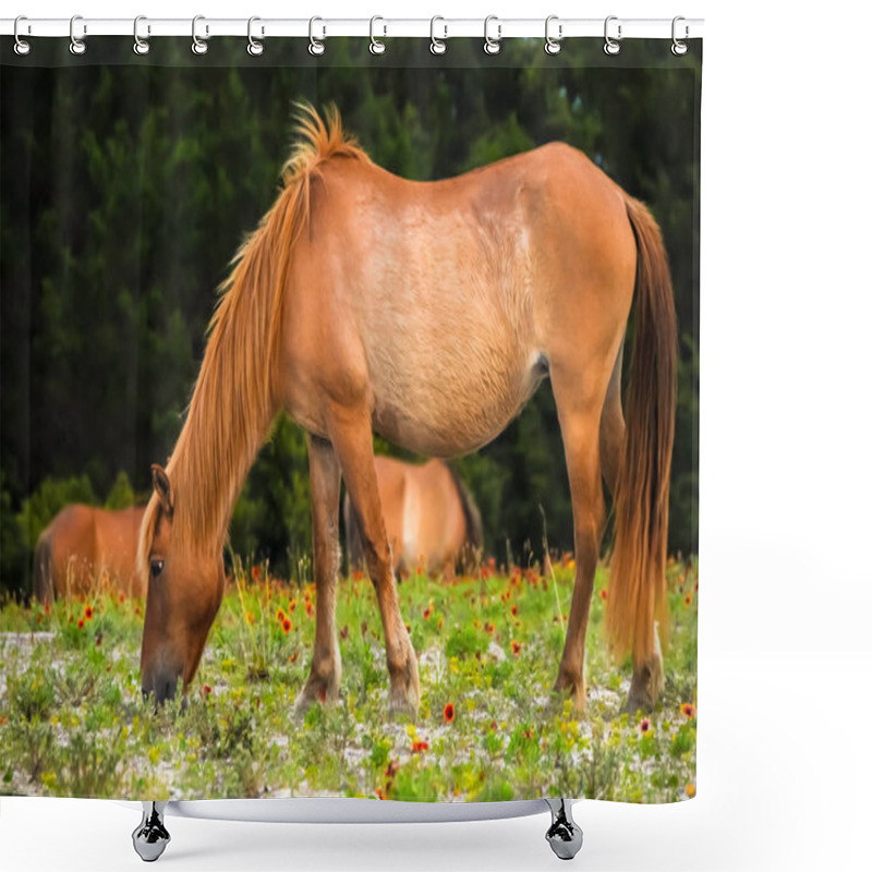 Personality  A Eating Horse Shower Curtains