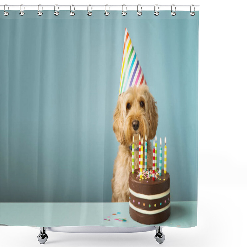 Personality  Dog With Birthday Cake Shower Curtains