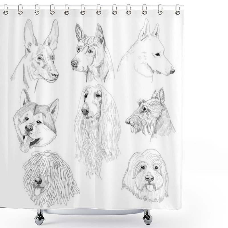 Personality  Dog Sketch Portraits.  Shower Curtains