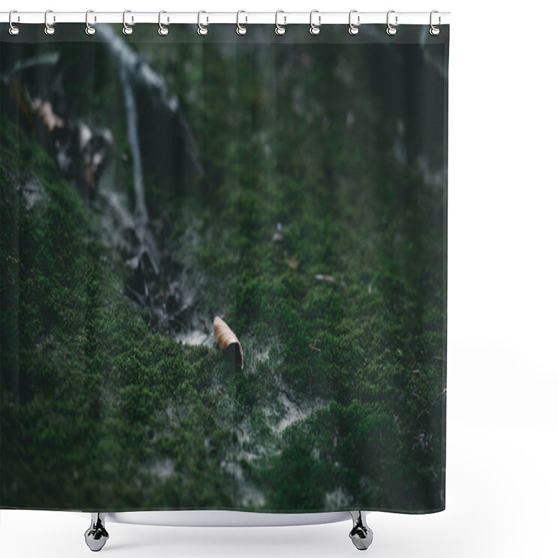 Personality  Close-up Shot Of Mossy Ground With Tree Roots Shower Curtains